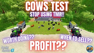 COWS TEST  Farming Simulator 22 [upl. by Faye]