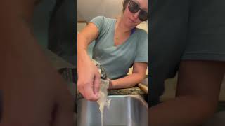 Dinner dinner crockpotrecipe yummy shortsfeeds shorts fypage viralshorts foodie food asmr [upl. by Yeltrab]