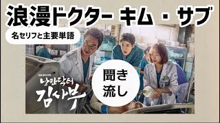 リエン韓国語298 「聞き流し」韓国ドラマ「浪漫ドクターキム・サブ」韓ドラ名セリフ  リエンハングル [upl. by Skerl421]