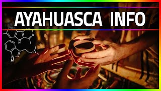 Ayahuasca  INFOVIDEO  Purging Vorbereitung Pharmahuasca [upl. by Specht721]