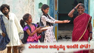 ఎండకాలం అమ్మమ్మ ఇంటికి పోతే Part1  Summer holidays  Gangavva  Anil Geela My village show Comedy [upl. by Feinberg586]