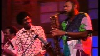 Fats DoiminoJerry Lee LewisRay Charles and Ron Wood live in New Orleans [upl. by Almond]