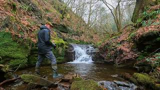 Marsden Moor Slaithwaite Hall amp Wool Clough Catchlife [upl. by Merri]