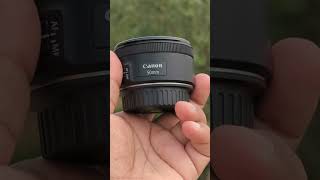 Canon 50mm stm canon canonlens photography photo [upl. by Hurd]