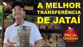 Transferência de JATAÍ a melhor aula COMPLETA [upl. by Zulch]