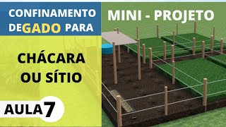 15 ANIMAIS EM  3000m2 DE PASTO  MINI PROJETO PARA CHÁCARAS [upl. by Acemat]