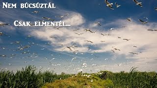 Nem búcsúztál csak elmentél [upl. by Naxela]