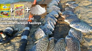 Cara mancing ikan kipercampurkan masakotepung dan ager ager dijamin strike terus anti boncos [upl. by Spears]