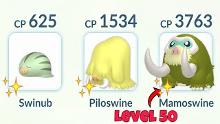 Shiny Swinub Evolution Line Team in Pokemon GO [upl. by Silin]