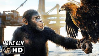 Eagle Hunt Scene  KINGDOM OF THE PLANET OF THE APES 2024 Movie CLIP HD [upl. by Drogin141]