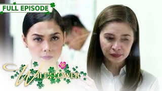 ENG SUB Ep 253  Wildflower  Maja Salvador Tirso Cruz III Aiko Melendez [upl. by Aicert353]