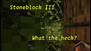 Minecraft  Stoneblock III  WTH [upl. by Metabel]