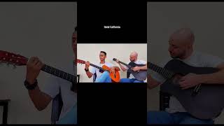 Hotel california cover acousticcovers nylon rock classicrock classicrocktiktok cover music [upl. by Adnovahs]