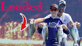 Lake Barkley Stake Beds for Crappie [upl. by Ahtreb]