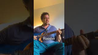 Rooster Alice In Chains cover guitar music cover prs [upl. by Jenkel]