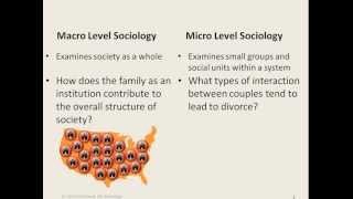 My Sociology Mini Lecture 21  Micro amp Macro Sociology [upl. by Ahtiekal]