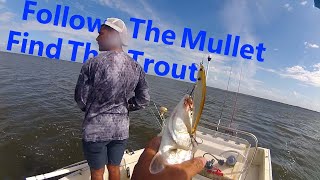 Speckled Trout Destroy Rapala Shadow Rap Jerkbait [upl. by Neel]