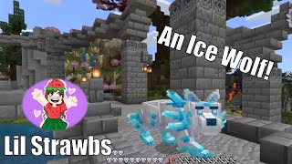 Wolf Life Part 4  Minecraft with Lil Strawbs [upl. by Annerol]