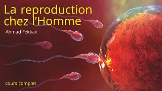 LA REPRODUCTION CHEZ LHOMME  2APIC prof Ahmed FEKKAK [upl. by Dranyl]