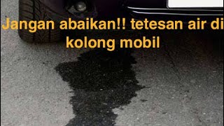 Tetesan air di kolong mobil Bahaya atau tidak [upl. by Any]