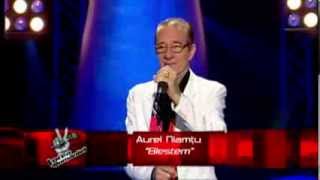 Auditii pe nevazute  Prima Editie  Aurel Niamtu  Vocea Romaniei 2013 S3 [upl. by Acirred296]