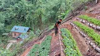 Build a terraced garden on a steep mountainside Grow pumpkins soybeans and radishes [upl. by Hochman]