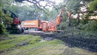 Giant Tree Shredder  Large Wood Chipper Devouring Whole Trees  HD Video [upl. by Lilithe]