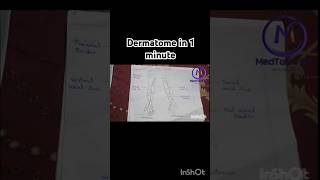 Dermatome explained in 1 minute [upl. by Vasti]