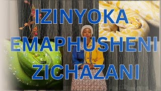 Izinyoka Emaphusheni Zichazani0780046059 [upl. by Aynotal]