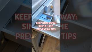 Simple damp  mould prevention tips cleaninghacks cleaningtips cleaning cleaningmotivation [upl. by Coshow]