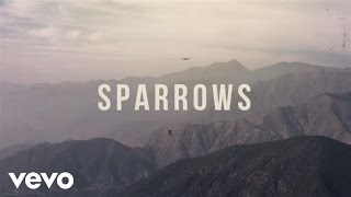 Jason Gray  Sparrows Official Lyric Video [upl. by Kowtko]