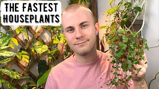 The Fastest Growing Houseplants [upl. by Russon]