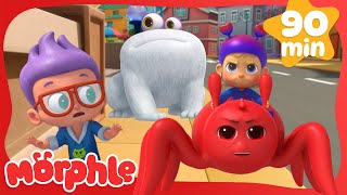 Spider Morphle Catches the Gobble Frog 🐸🕷️  Cartoons for Kids  Mila and Morphle [upl. by Lemuel]