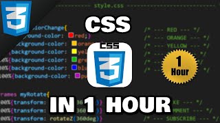 Learn CSS in 1 hour 🎨 [upl. by Adnoral]