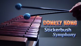 Donkey Kong  Stickerbrush Symphony 🎨 [upl. by Netneuq]