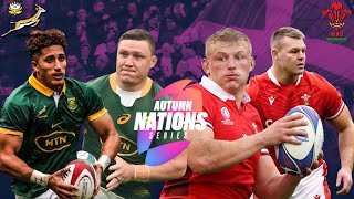 SPRINGBOKS vs WALES PREVIEW AND WEEKEND PREDICTIONS [upl. by Enreval]