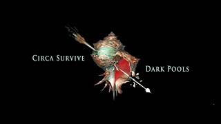 Circa Survive  Dark Pools Visual [upl. by Myca]