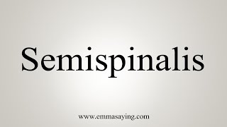 How To Say Semispinalis [upl. by Downall]