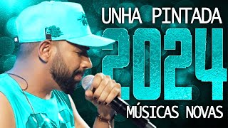 UNHA PINTADA 2024  20 MÚSICA NOVAS  CD NOVO  REPERTÓRIO ATUALIZADO [upl. by Birdella]