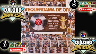 TEQUENDAMA DE ORO VOL2  LADO B AUDIO FULL ℗ © 1982 [upl. by Aleka]