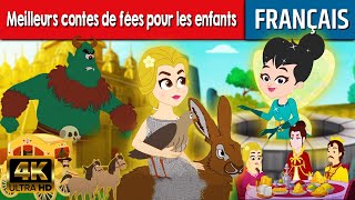 Meilleurs Contes De fées Pour Les Enfants  Histoire pour sendormir  Histoire pour les petit [upl. by Justinian20]