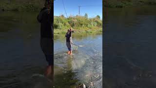 Fly fishing NZ fishing nztroutfishing backcountryfishing trouts nz hawkesbay outdoors [upl. by Terza]