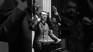 How Hitler Rise to Power  Hit Info [upl. by Esyle]