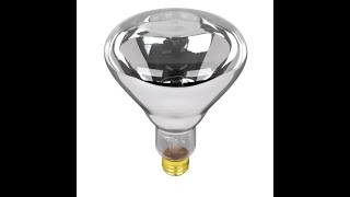 Poultry Mart  Infrared Heating Bulb [upl. by Yhotmit]