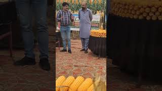 Syngenta hybrid seed 7530 field day viralvideo farmer kisan SKDjuttherep350 hybridseeds [upl. by Schurman]