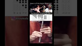 Christmas music on Tin Whistle [upl. by Natsrik362]