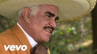 Vicente Fernández  La Mejor de las Mujeres [upl. by Yenitirb549]