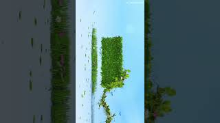 3D Nameart alight motion editing  alight motion editing  Nameart Video editing  shorts ytshorts [upl. by Akkire]