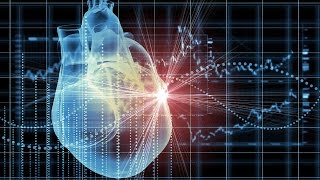 Human Physiology  Spread of Cardiac Excitation [upl. by Glovsky615]