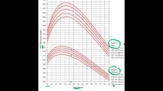 Asthma S2 Part 3 Peak Flow Readings [upl. by Annonyw]